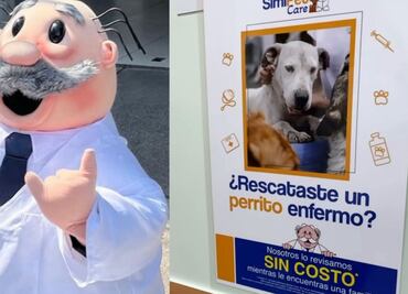 SimiPet Care: veterinaria ofrece consultas gratis a perritos rescatados; ¿cómo aplica?