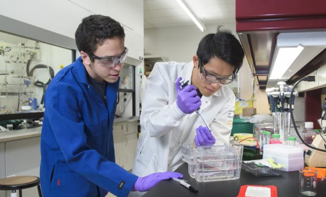 (FOTO: Universidad Stanford)