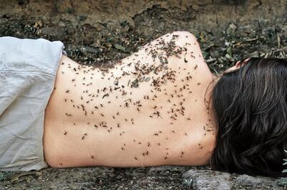 Develar y detonar a México hoy