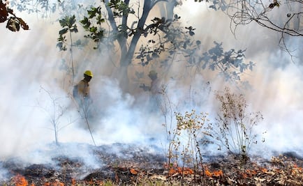Reportan incendio forestal activo en municipio serrano de Sonora