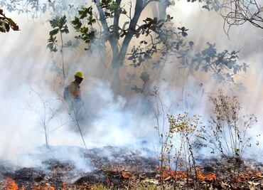 Reportan incendio forestal activo en municipio serrano de Sonora