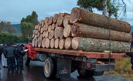 Diputados aprueban endurecer castigo contra delitos ambientales; penas incrementan hasta 20 años en áreas protegidas