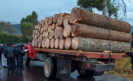 Diputados aprueban endurecer castigo contra delitos ambientales; penas incrementan hasta 20 años en áreas protegidas