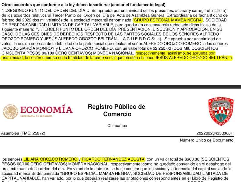 Acta de asamblea en el Registro Público de Comercio. Imagen: Captura de pantalla.