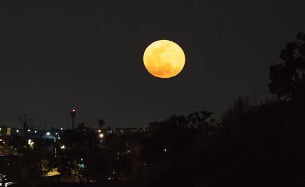 La luna rosa iluminará abril, te decimos cuándo