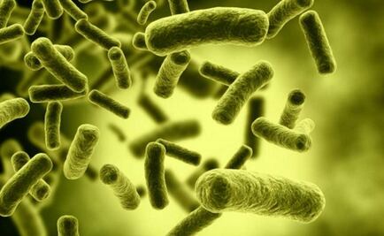 Diseñan nuevas terapias contra bacterias resistentes a antibióticos   