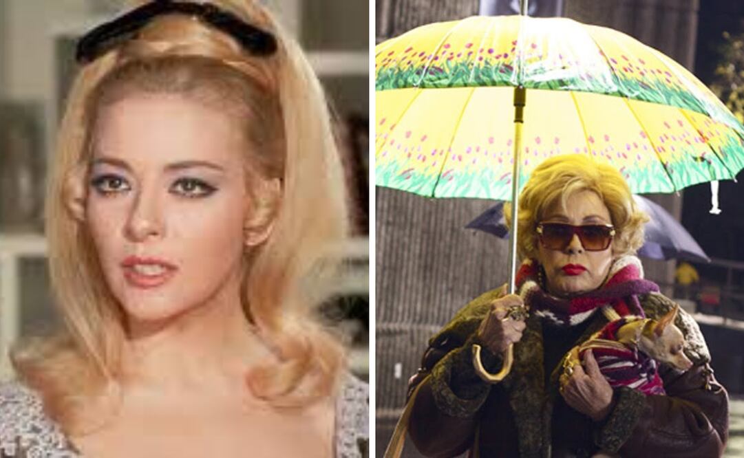 Tercera llamada y El escandaloso encanto de los egos rotos son prueba de que su talento permaneció intacto hasta el final.
Foto: Captura de pantalla en x