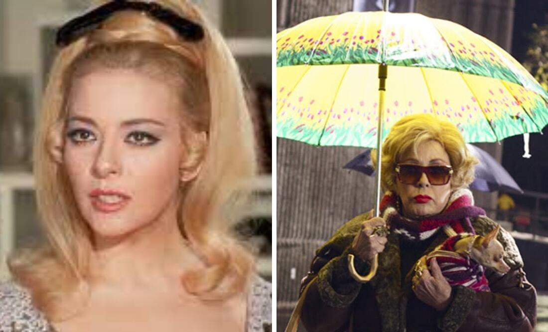 Tercera llamada y El escandaloso encanto de los egos rotos son prueba de que su talento permaneció intacto hasta el final.
Foto: Captura de pantalla en x