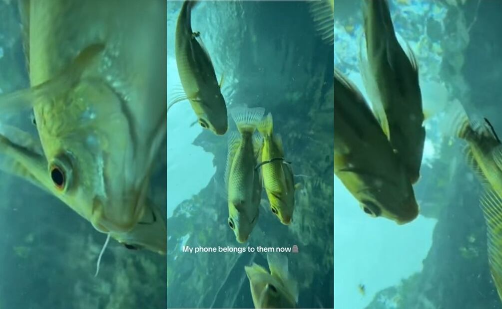 Una vista única. Fuente: TikTok @linassiri_