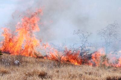 Se registra incendio al sur de Nuevo León