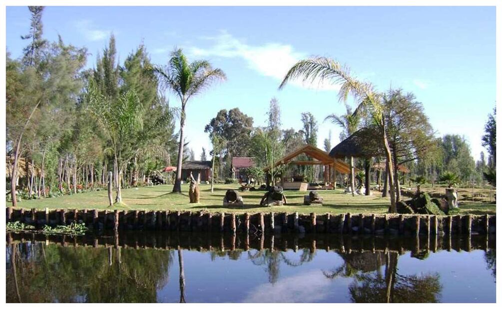 Visita el campamento de terror en la chinampa La Llorona en Xochimilco. Imagen: Facebook Proyecto Noctambulante