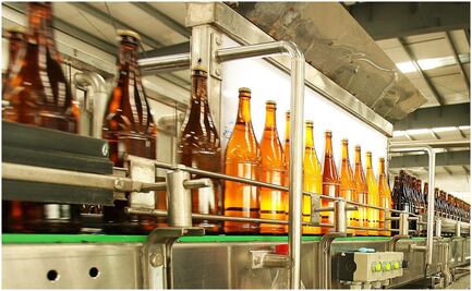 Reporta cerveza mayor alza de precio en 10 años: Inegi