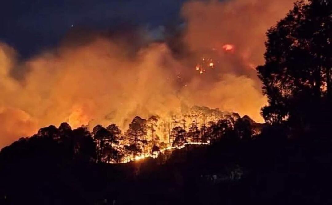 Hidalgo ha registrado 93 incendios forestales en los últimos 8 días en 47 municipios (19/03/2025). Foto: Especial
