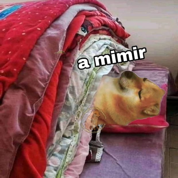 Los mejores memes que dejó el Frente Frío 29. Foto: Redes sociales