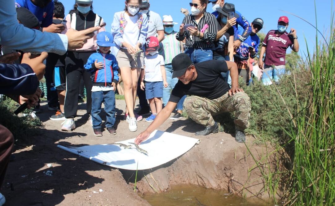 La peor amenaza contra esta especie es la destrucción de su hábitat por las actividades humanas, la contaminación de la zona y los depredadores humanos. Foto: Especial 