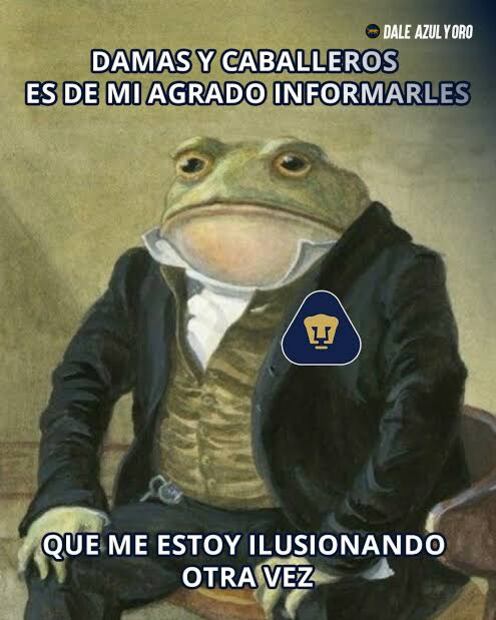 Pumas MEMES