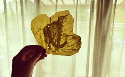 La transparencia confesional; reseña de "¿Hubo esta vida o la inventé?" de Félix Suárez