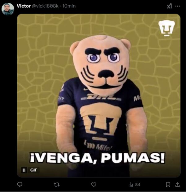 Los MEJORES MEMES de Pumas
