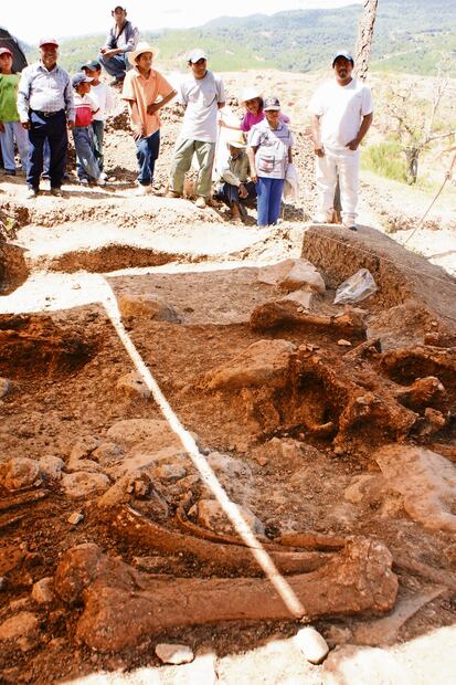 Antropólogos y arqueólogos acudieron al pueblo de Santa María Tiltepec para sacar los restos que se encontraban bajo toneladas de lodo. Foto: Edwin Hernández
