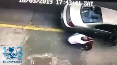 Captan en video el robo de una perrita pastor belga en Iztapalapa