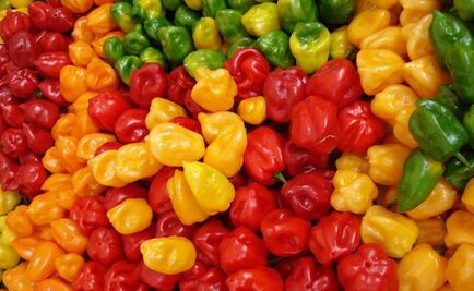 Piden cambiar producción de habanero