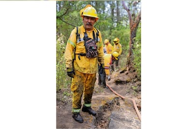 “Por amor al bosque tenemos este oficio”: brigadistas