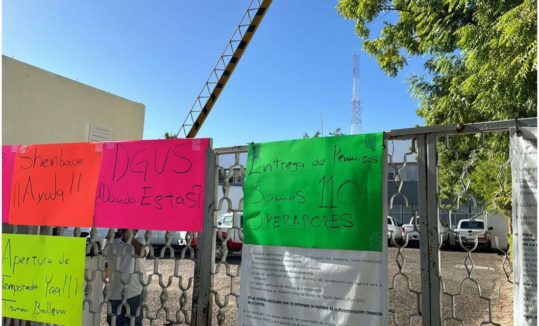 Este 8 de noviembre, prestadores de servicios turísticos protestan en Semarnat de BCS por retrasos en permisos para avistamiento de tiburón ballena. Foto: Especial