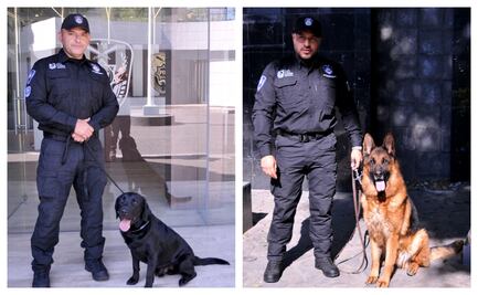 Boss y Thor, los nuevos agentes de cuatro patas; perros entrenados reforzarán tareas de búsqueda y detección en CDMX
