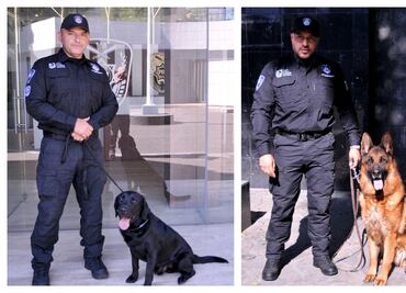 Boss y Thor, los nuevos agentes de cuatro patas; perros entrenados reforzarán tareas de búsqueda y detección en CDMX