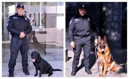 Boss y Thor, los nuevos agentes de cuatro patas; perros entrenados reforzarán tareas de búsqueda y detección en CDMX