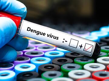 Día mundial contra el dengue