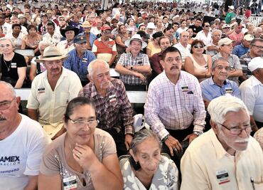 Plantean quitar retenciones a los adultos mayores