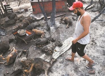 Incendios en Argelia suman 38 decesos