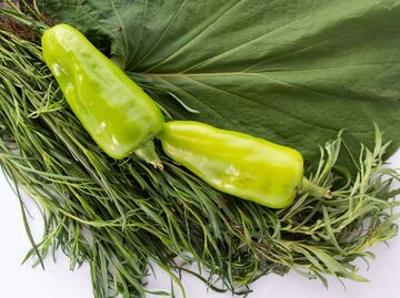 Ocho ingredientes típicos de Oaxaca