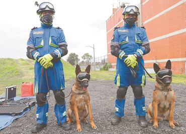 La perrita Frida deja escuela: estos son sus herederos