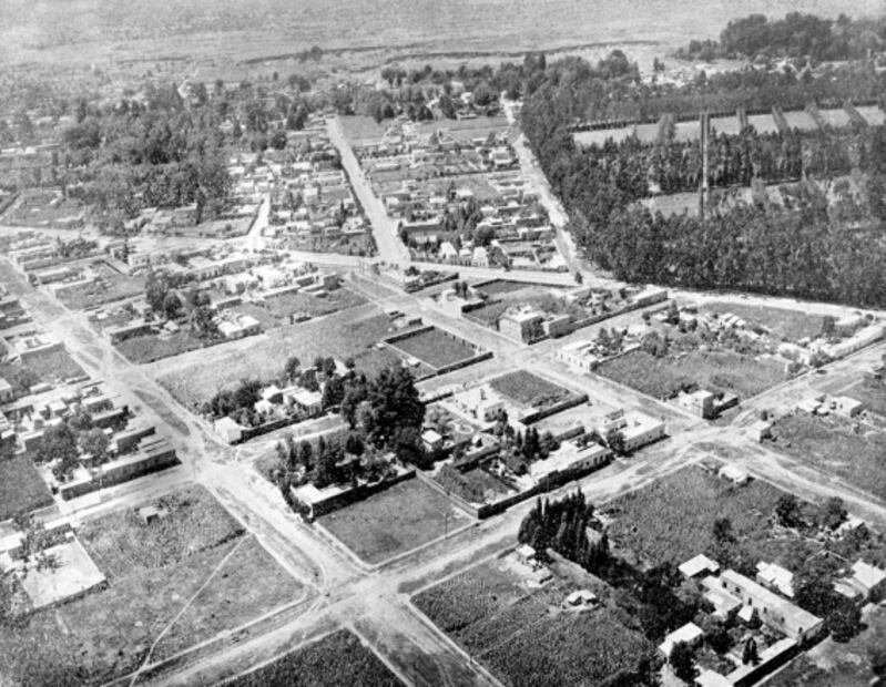 Miguel Ángel de Quevedo, el legendario defensor de árboles desde el Porfiriato