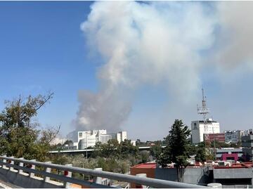 ¡En plena contingencia! Reportan incendio de pastizales en la zona de Cuemanco en Xochimilco; VIDEO