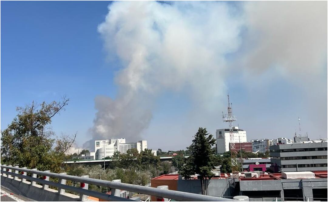 Incendio Xochimilco: Foto: Especial
