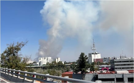 ¡En plena contingencia! Reportan incendio de pastizales en la zona de Cuemanco en Xochimilco; VIDEO