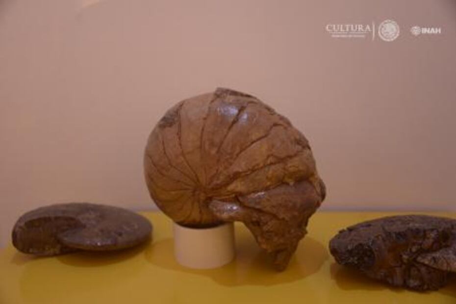 Museo en Chihuahua abre sus puertas para unir culturalmente la frontera