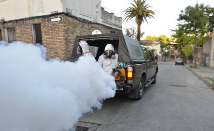 Montevideo realiza fumigación "espacial" contra dengue