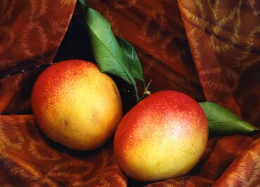 ¿Cómo saber si el mango está bueno?