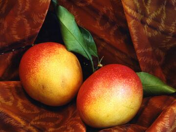 ¿Cómo saber si el mango está bueno?