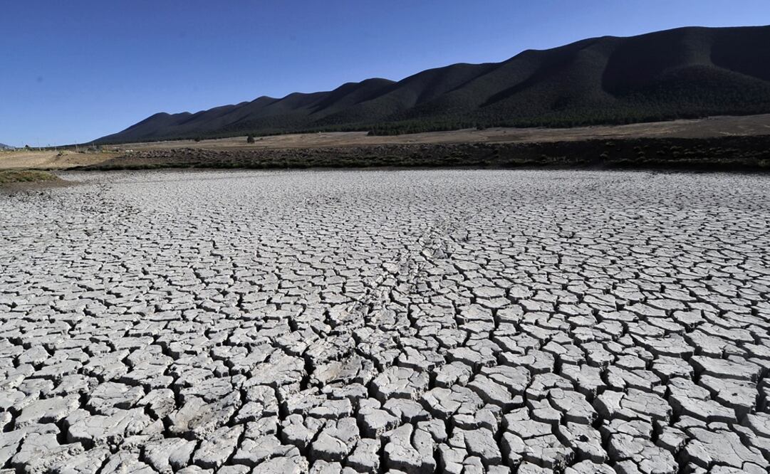 (Foto: Archivo - EL UNIVERSAL)