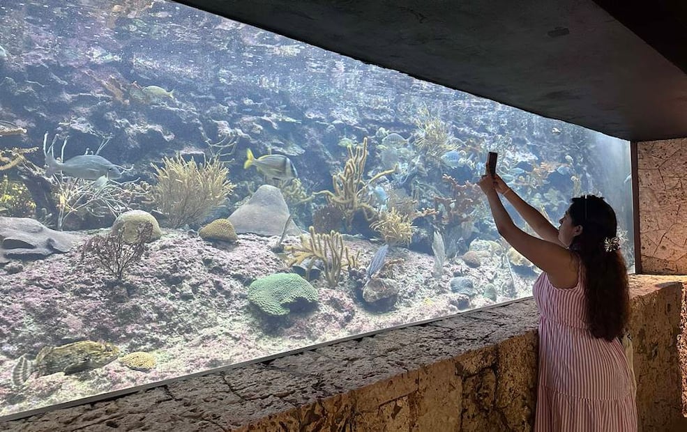 Foto: Omar Moreno. El Universal