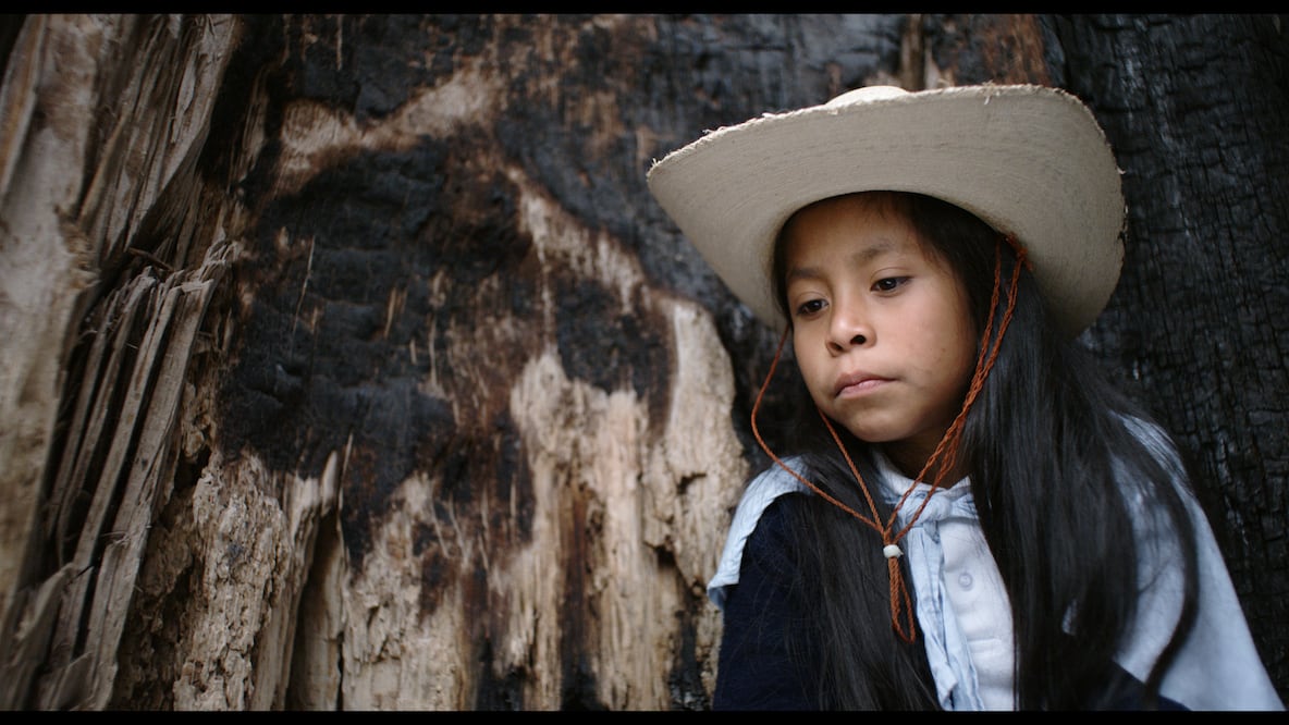 Este largometraje mexicano estuvo nominado a “Mejor película” en el Festival de Morelia 2023. Foto: IMCINE