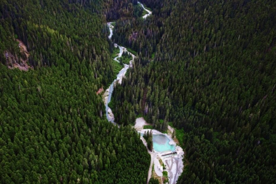 Conoce la 'lengua de troll'