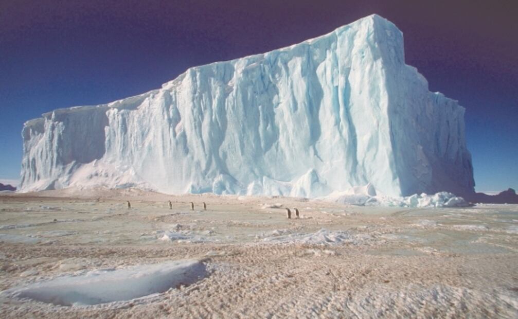 El Foco. Emilio Lozoya, de disfrute en la Marbella a prisión