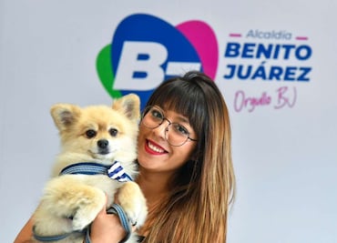 Trabajadores de la alcaldía Benito Juárez acuden a laborar con sus lomitos; buscan ser una demarcación pet friendly