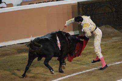 PVEM en Q.Roo va contra zoológicos y corridas de toros
